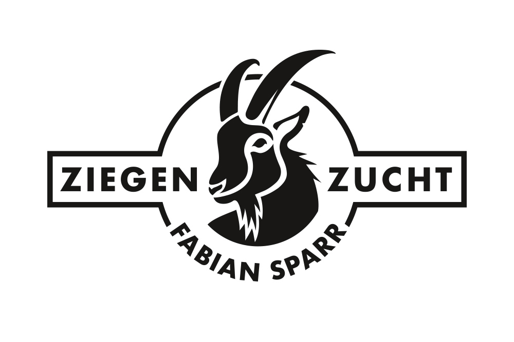 Logo Design, Grafik Design, innova design Werbeagentur Vorarlberg